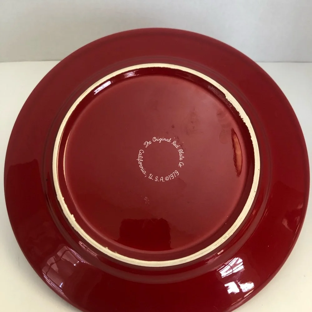 You Are Special Today Red plate